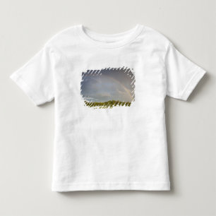 Latvia, Northeastern Latvia, Vidzeme Region, 5 Toddler T-Shirt
