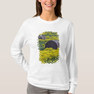 Latvia, Northeastern Latvia, Vidzeme Region, T-Shirt