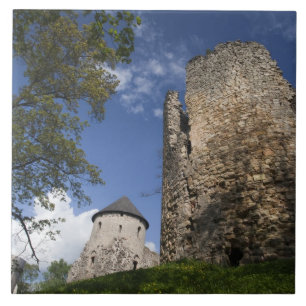 Latvia, Northeastern Latvia, Vidzeme Region, Tile