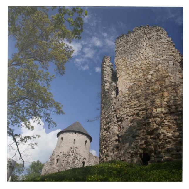 Latvia, Northeastern Latvia, Vidzeme Region, Tile (Front)