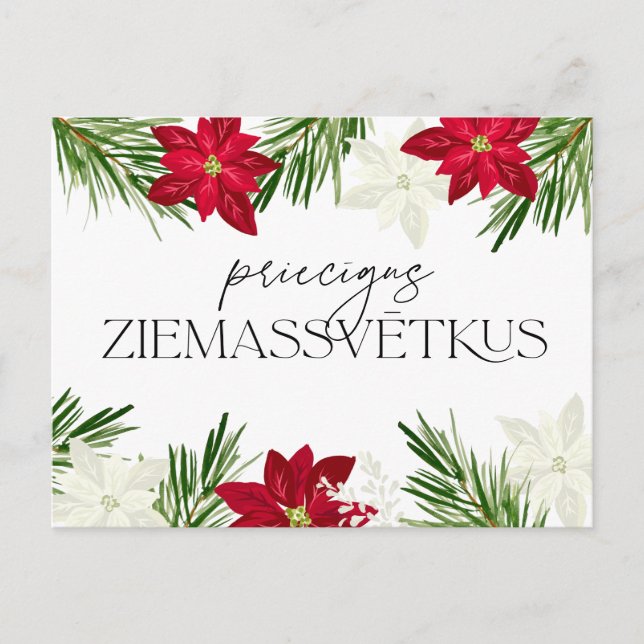 Latvian Christmas Red Poinsettia Ziemassvetki Postcard (Front)