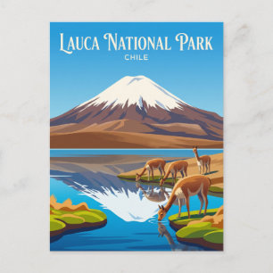 Lauca National Park Chile Postcard