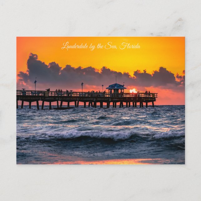 Lauderdale by the Sea, Florida - Fervid Postcard (Front)