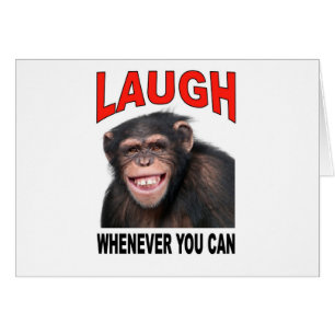 laugh