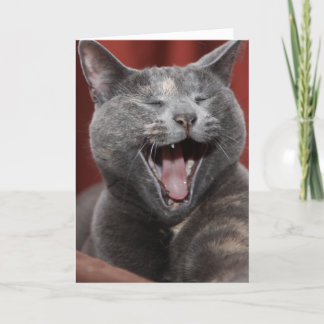 Laugh it up this Father's Day Card