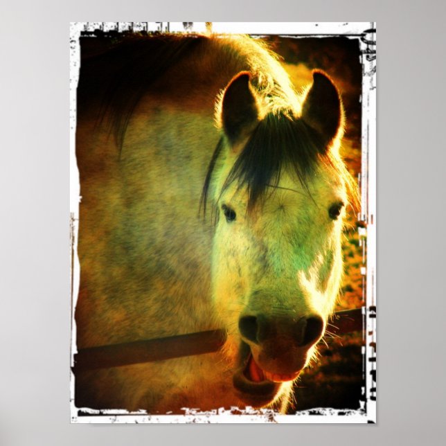 Laugh Poster (Front)