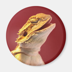 Laughing Bearded Dragon Magnet