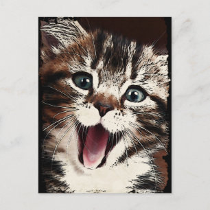 Laughing Cat Postcard
