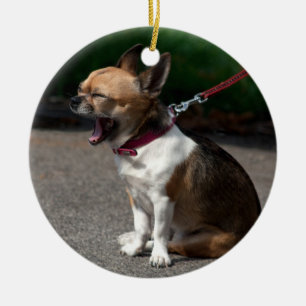 Laughing Chihuahua Ceramic Tree Decoration