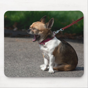 Laughing Chihuahua Mouse Mat