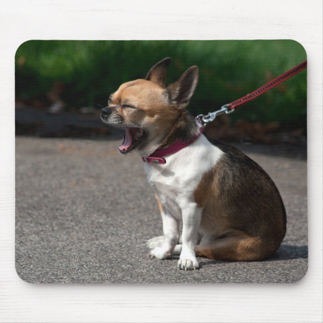 Laughing Chihuahua Mouse Mat (Front)