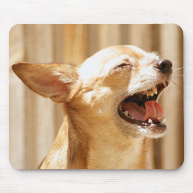 Laughing Chihuahua Mouse Mat (Front)