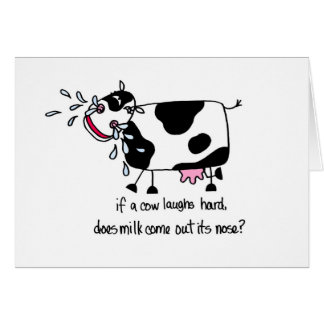 Laughing Cow Birthday