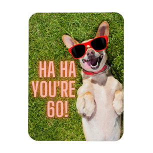 Laughing Dog 60th Birthday  Magnet