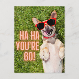 Laughing Dog 60th Birthday  Postcard