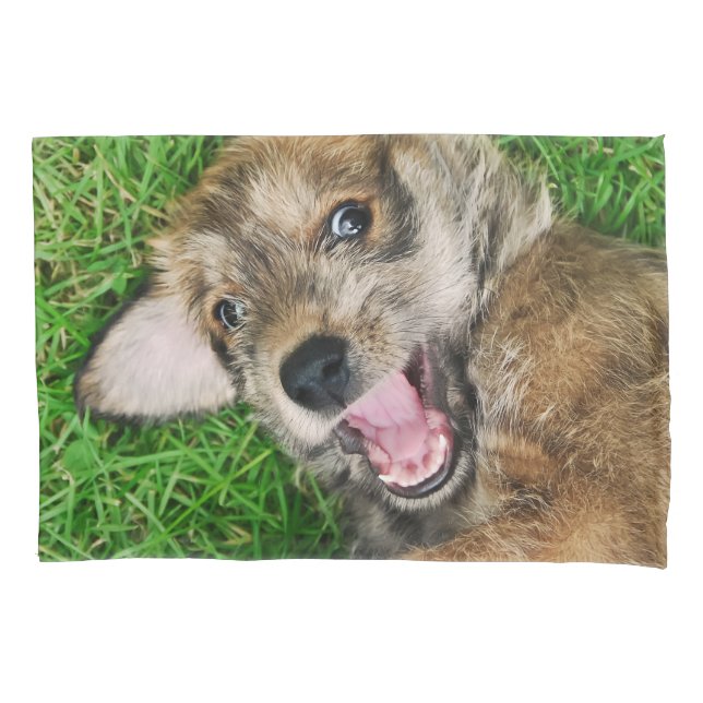 Laughing Dog Berger Picard Puppy Funny Pillowcover Pillowcase (Front)