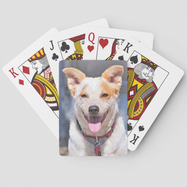 Laughing Dog Playing Cards (Back)