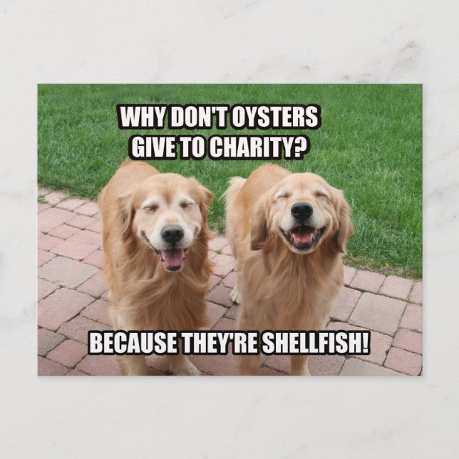 Laughing Golden Retriever Funny Shellfish Joke Postcard (Front)