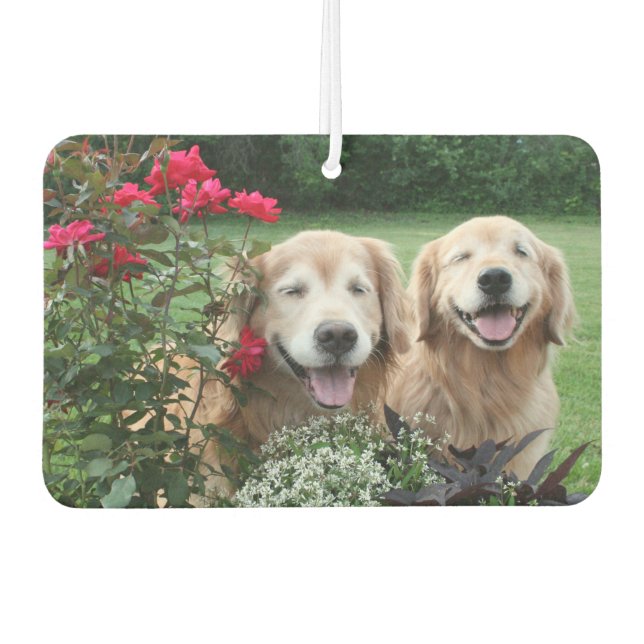 Laughing Golden Retrievers Outside by Roses Car Air Freshener (Front)