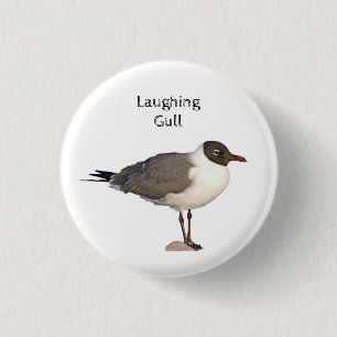 Laughing Gull 3 Cm Round Badge