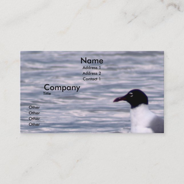 Laughing Gull Business Card (Front)