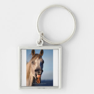 laughing horse key ring
