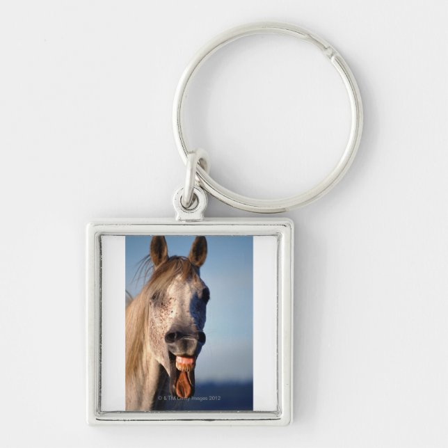 laughing horse key ring (Front)