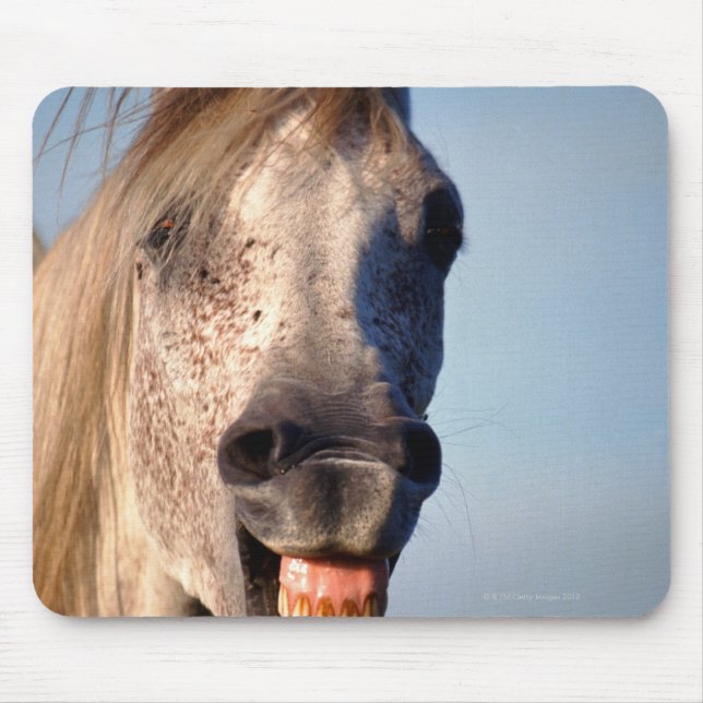 laughing horse mouse mat (Front)