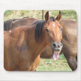 Laughing Horse Mouse Mat