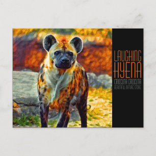 Laughing hyena postcard