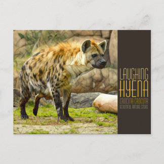Laughing hyena [Postcard] Postcard