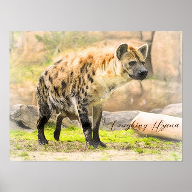 Laughing Hyena Poster (Front)