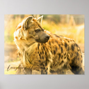 Laughing Hyena Poster