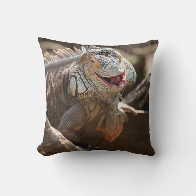 Laughing Iguana Photo Cushion (Front)