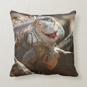 Laughing Iguana Photo Cushion