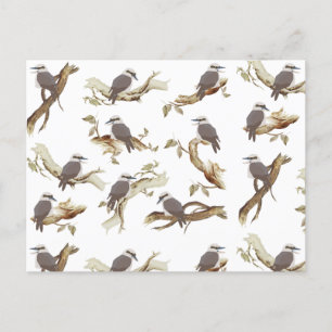 Laughing Kookaburra Australian Bird Eucalyptus  Holiday Postcard