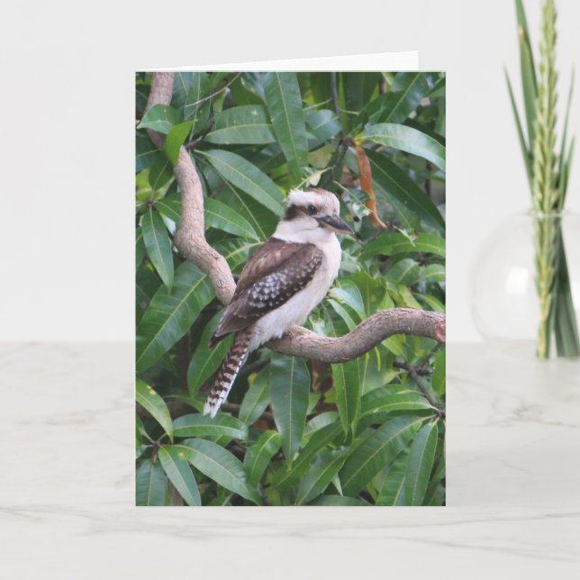Laughing Kookaburra Greeting Card (Front)