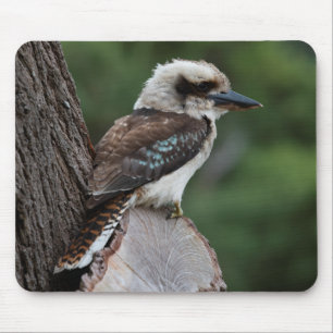 Laughing Kookaburra Mouse Mat