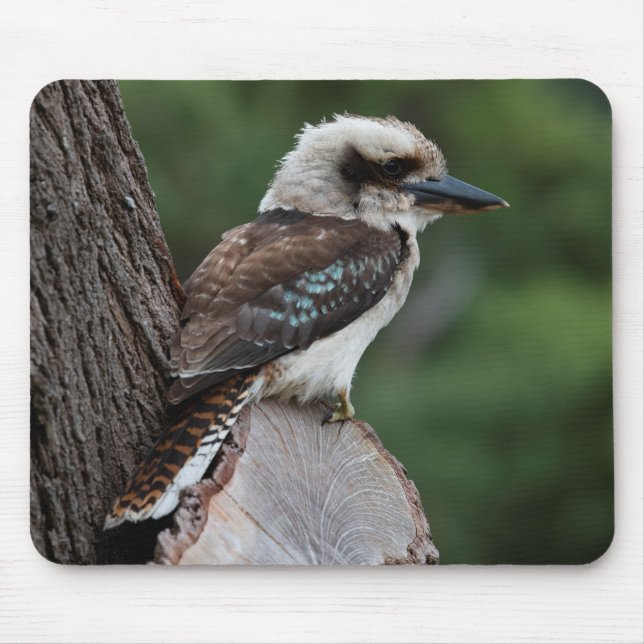 Laughing Kookaburra Mouse Mat (Front)