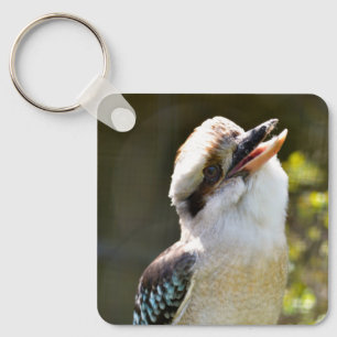 Laughing Kookaburra perched on branch Postcard Squ Key Ring
