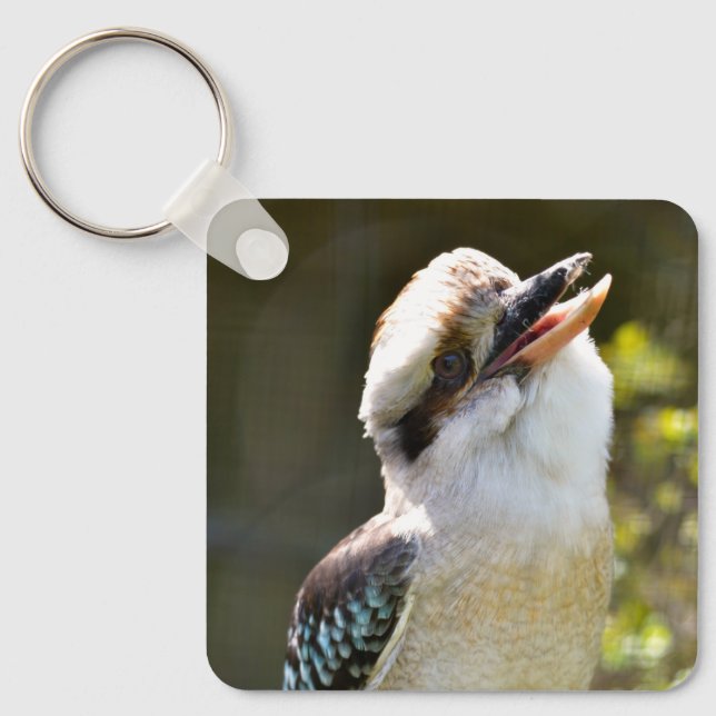 Laughing Kookaburra perched on branch Postcard Squ Key Ring (Front)