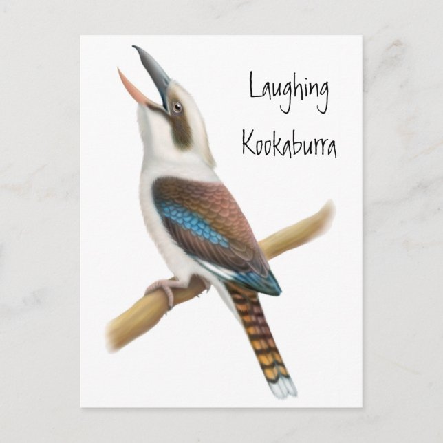 Laughing Kookaburra Postcard (Front)
