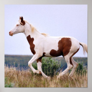 Laughing Maiden Poster