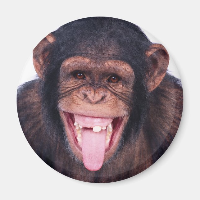 Laughing Monkey Magnet (Front)