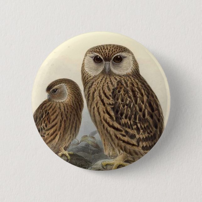 Laughing Owl Vintage Illustration 6 Cm Round Badge (Front)