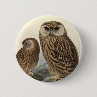 Laughing Owl Vintage Illustration 6 Cm Round Badge