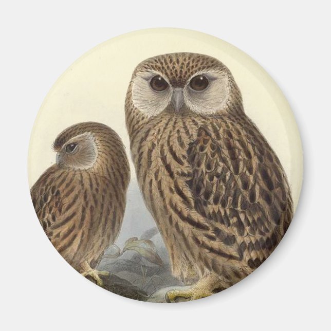 Laughing Owl Vintage Illustration Magnet (Front)