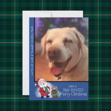 Laughing Santa Reindeer Lab Pet Photo Modern
