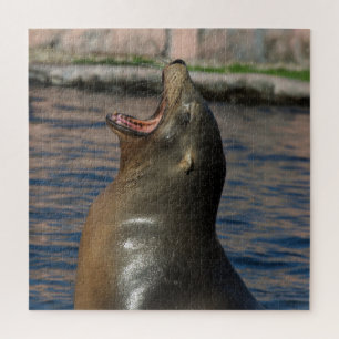 Laughing Seal Jigsaw Puzzle