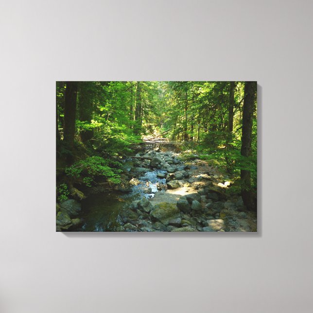 Laughingwater Creek at Mount Rainier National Park Canvas Print (Front)